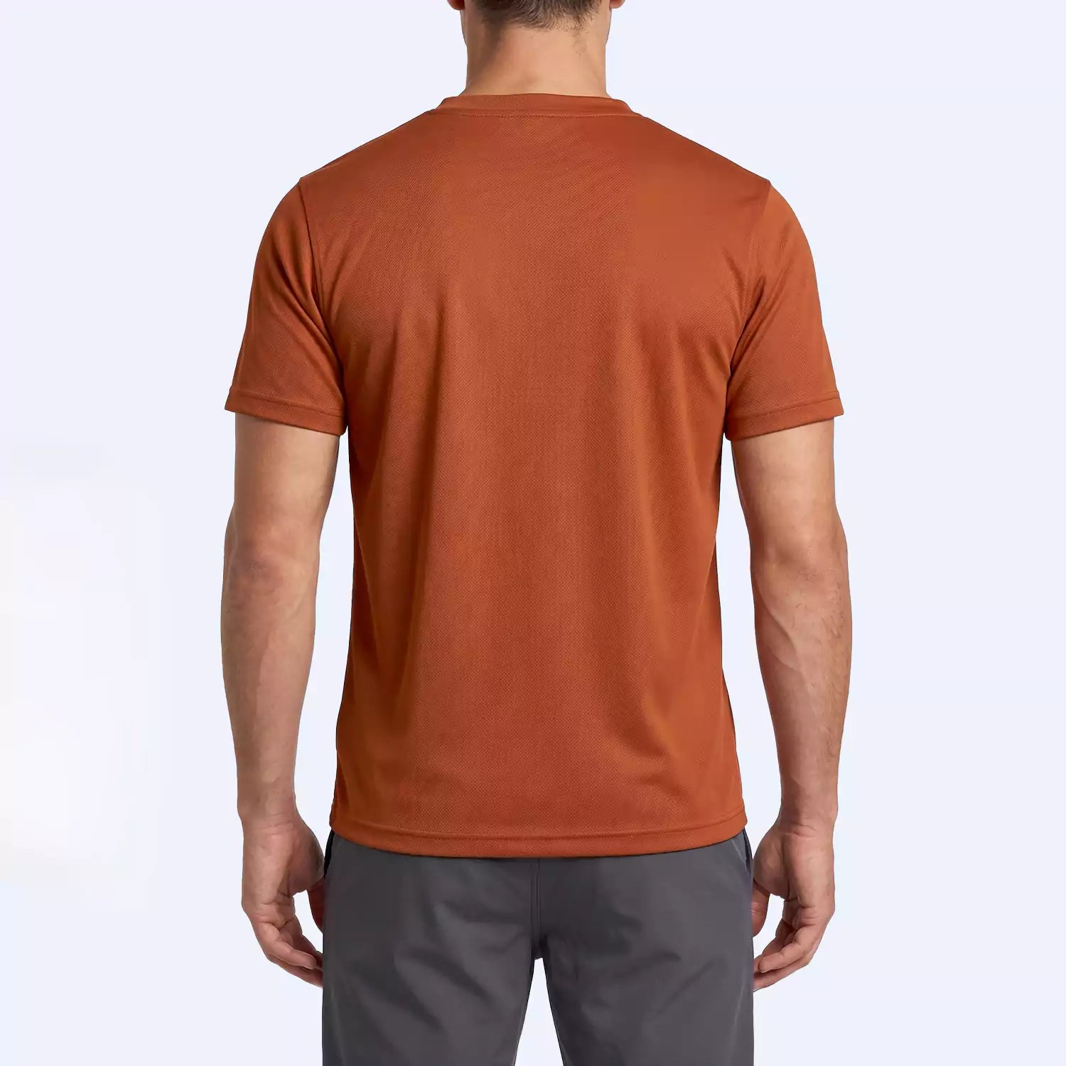Back view of the Ember V-Neck T-Shirt in Rust with a straight hem