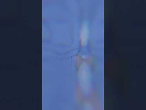 cornflower FLEXSTRIDE performance set